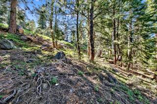 Listing Image 10 for 10573 Snowshoe Circle, Truckee, CA 96161-2747