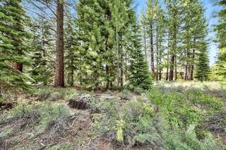 Listing Image 5 for 10976 Jeffrey Pine Road, Truckee, CA 96161