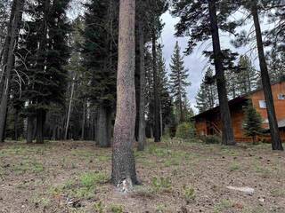 Listing Image 11 for 11322 Northwoods Boulevard, Truckee, CA 96161