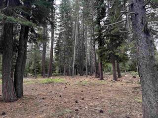 Listing Image 10 for 11322 Northwoods Boulevard, Truckee, CA 96161