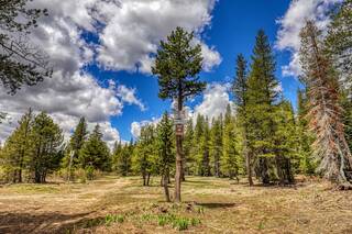 Listing Image 12 for 00 Old Donner Summit Road, Truckee, CA 96161