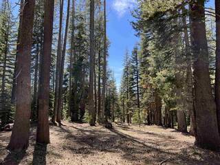 Listing Image 19 for 00 Old Donner Summit Road, Truckee, CA 96161