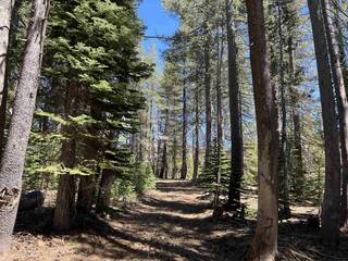 Listing Image 8 for 00 Old Donner Summit Road, Truckee, CA 96161