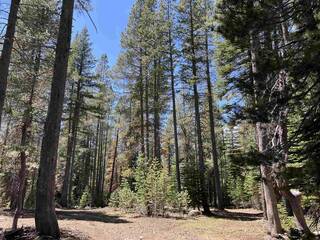 Listing Image 10 for 00 Old Donner Summit Road, Truckee, CA 96161