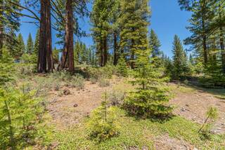 Listing Image 12 for 11607 China Camp Road, Truckee, CA 96161