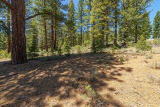 Listing Image 13 for 11607 China Camp Road, Truckee, CA 96161