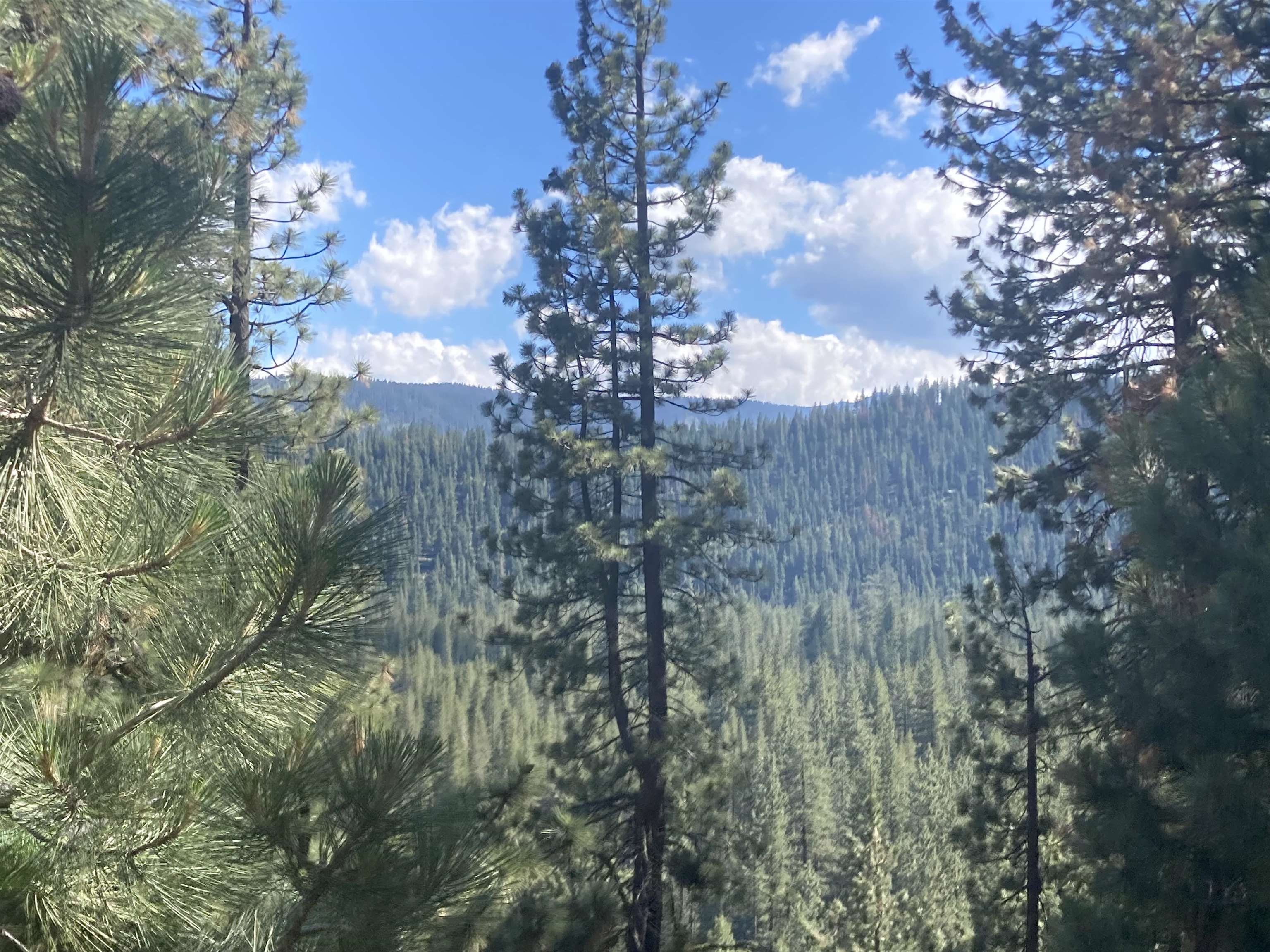 Image for 12673 Sierra Drive, Truckee, CA 96161-0000