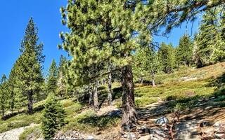 Listing Image 3 for 1209 Styria Way, Incline Village, NV 89451-0000