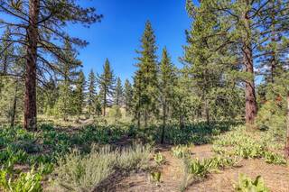 Listing Image 17 for 7445 Lahontan Drive, Truckee, CA 96161