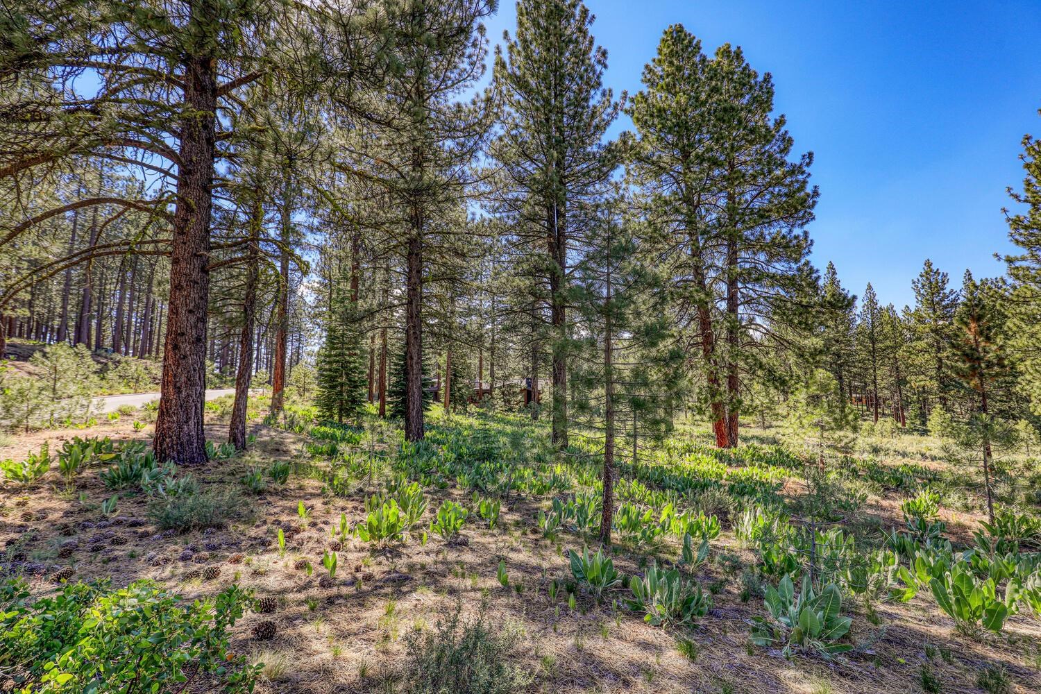 Image for 7455 Lahontan Drive, Truckee, CA 96161