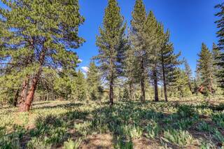 Listing Image 12 for 7455 Lahontan Drive, Truckee, CA 96161