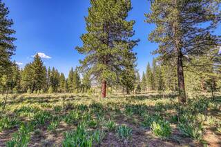Listing Image 13 for 7455 Lahontan Drive, Truckee, CA 96161