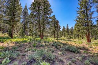 Listing Image 4 for 7455 Lahontan Drive, Truckee, CA 96161