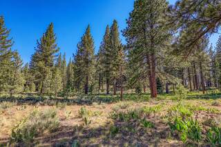 Listing Image 7 for 7455 Lahontan Drive, Truckee, CA 96161