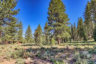 Listing Image 8 for 7455 Lahontan Drive, Truckee, CA 96161