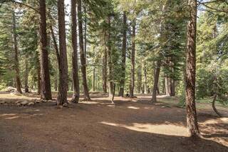 Listing Image 20 for 12333 Skislope Way, Truckee, CA 96161