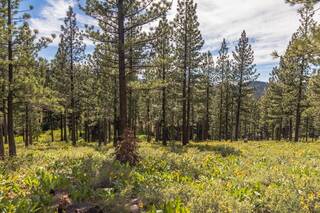 Listing Image 2 for 9619 Ahwahnee Place, Truckee, CA 96161