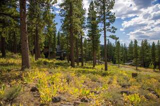 Listing Image 3 for 8256 Ehrman Drive, Truckee, CA 96161