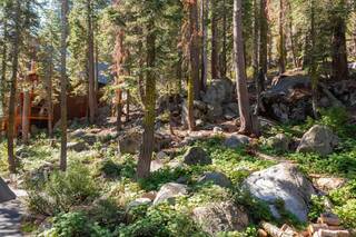 Listing Image 10 for 15805 Conifer Drive, Truckee, CA 96160-4231