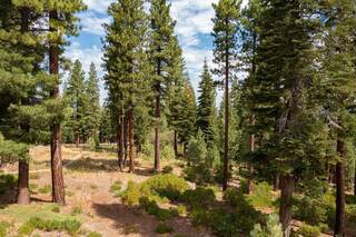 Listing Image 8 for 2201 Silver Fox Court, Truckee, CA 96161-0000