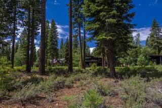 Listing Image 13 for 10259 Olana Drive, Truckee, CA 96161