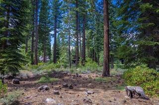 Listing Image 14 for 10259 Olana Drive, Truckee, CA 96161