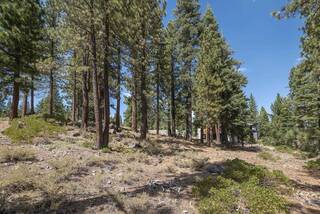 Listing Image 16 for 11881 Coburn Drive, Truckee, CA 96161