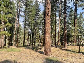 Listing Image 2 for 13281 Snowshoe Thompson Circle, Truckee, CA 96161-9