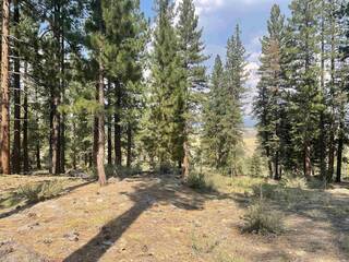 Listing Image 3 for 13281 Snowshoe Thompson Circle, Truckee, CA 96161-9