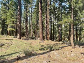 Listing Image 4 for 13281 Snowshoe Thompson Circle, Truckee, CA 96161-9