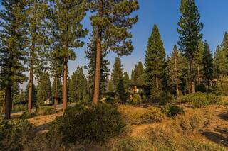Listing Image 8 for 8312 Kenarden Drive, Truckee, CA 96161