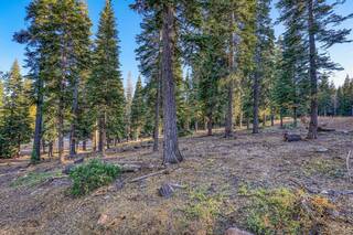 Listing Image 7 for 9188 Tarn Circle, Truckee, CA 96161