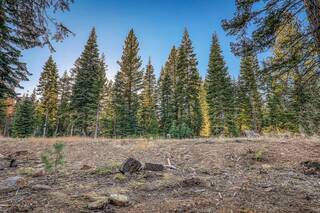 Listing Image 8 for 9188 Tarn Circle, Truckee, CA 96161