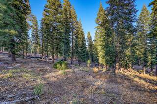 Listing Image 9 for 9188 Tarn Circle, Truckee, CA 96161
