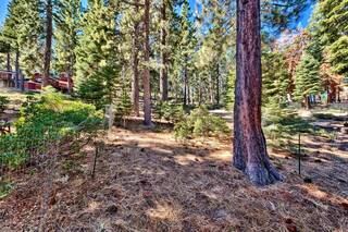 Listing Image 18 for 9048 Scenic Drive, Tahoma, CA 96142