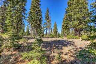 Listing Image 10 for 9313 Gaston Court, Truckee, CA 96161