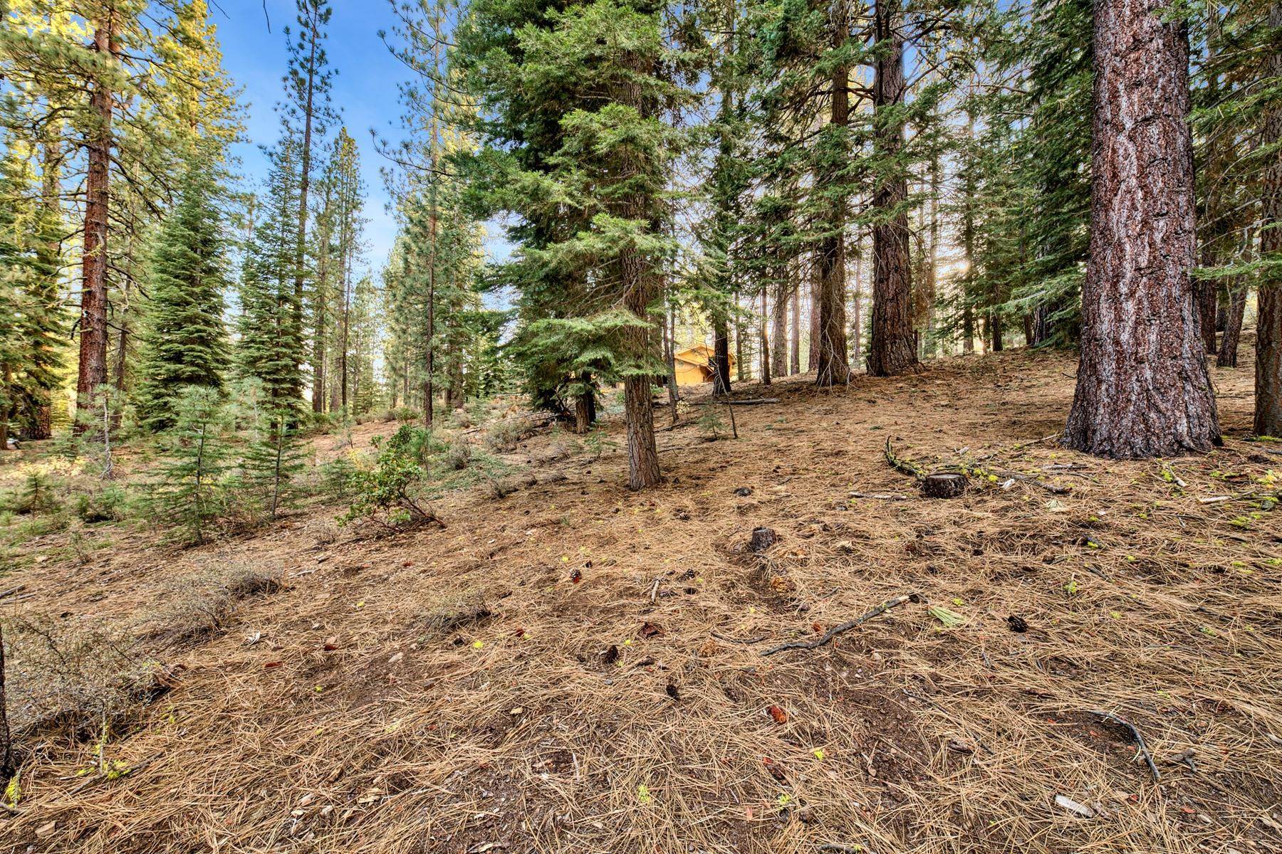 Image for 11098 Parkland Drive, Truckee, CA 96161