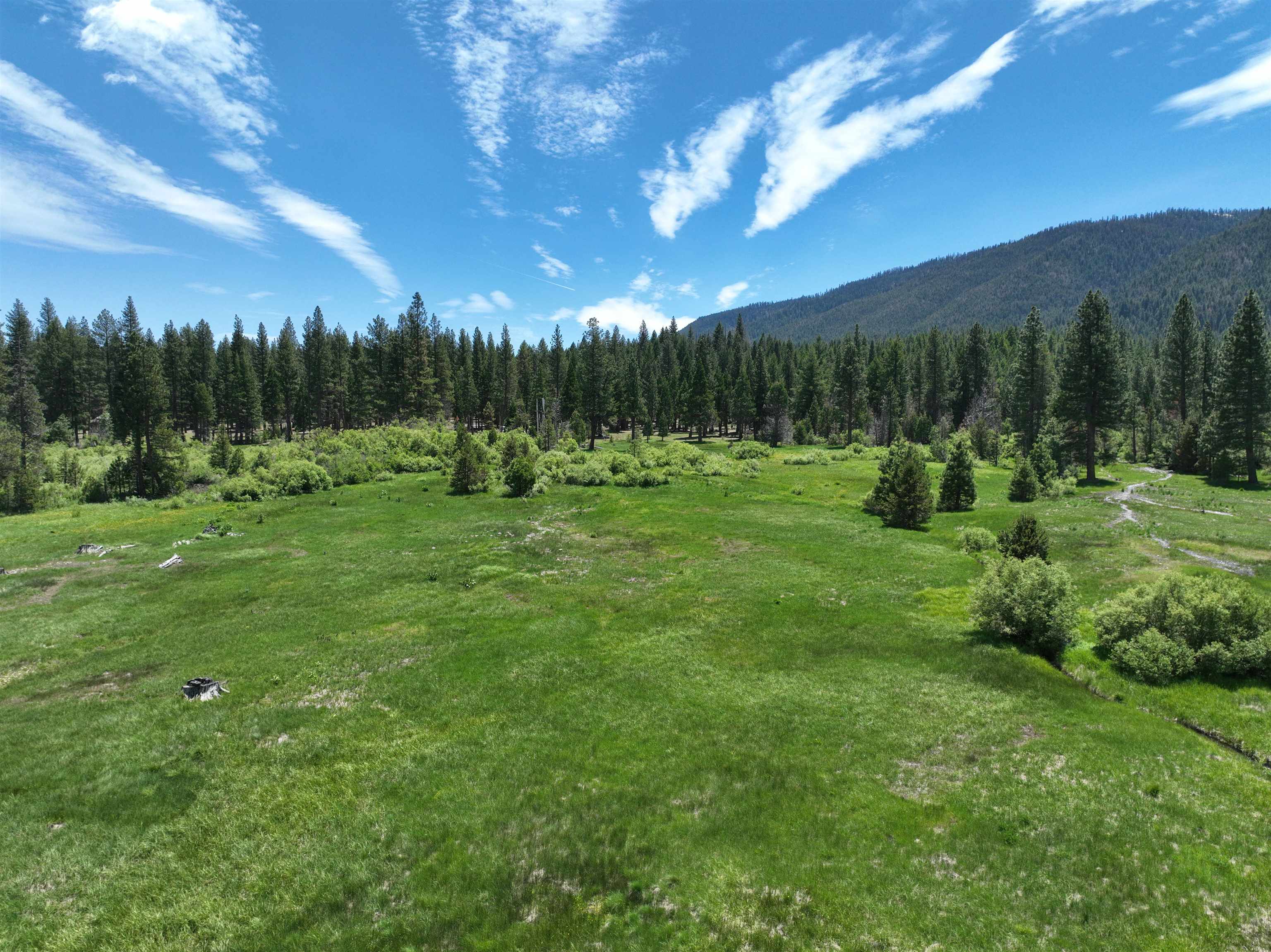 Image for 475 Old Hatchery Road, Clio, CA 96106
