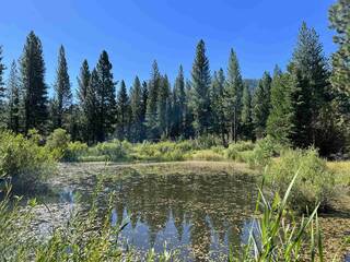 Listing Image 14 for 475 Old Hatchery Road, Clio, CA 96106