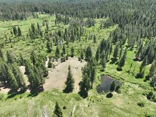 Listing Image 6 for 475 Old Hatchery Road, Clio, CA 96106