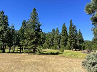 Listing Image 9 for 475 Old Hatchery Road, Clio, CA 96106