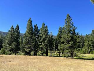 Listing Image 10 for 475 Old Hatchery Road, Clio, CA 96106