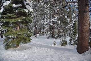 Listing Image 6 for 11841 Bottcher Loop, Truckee, CA 96161