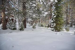 Listing Image 10 for 11841 Bottcher Loop, Truckee, CA 96161