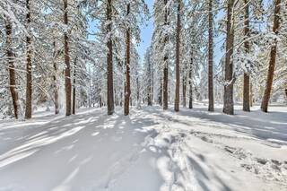 Listing Image 15 for 10573 Brickell Court, Truckee, CA 96161-5207