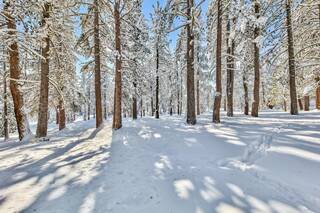 Listing Image 19 for 10573 Brickell Court, Truckee, CA 96161-5207