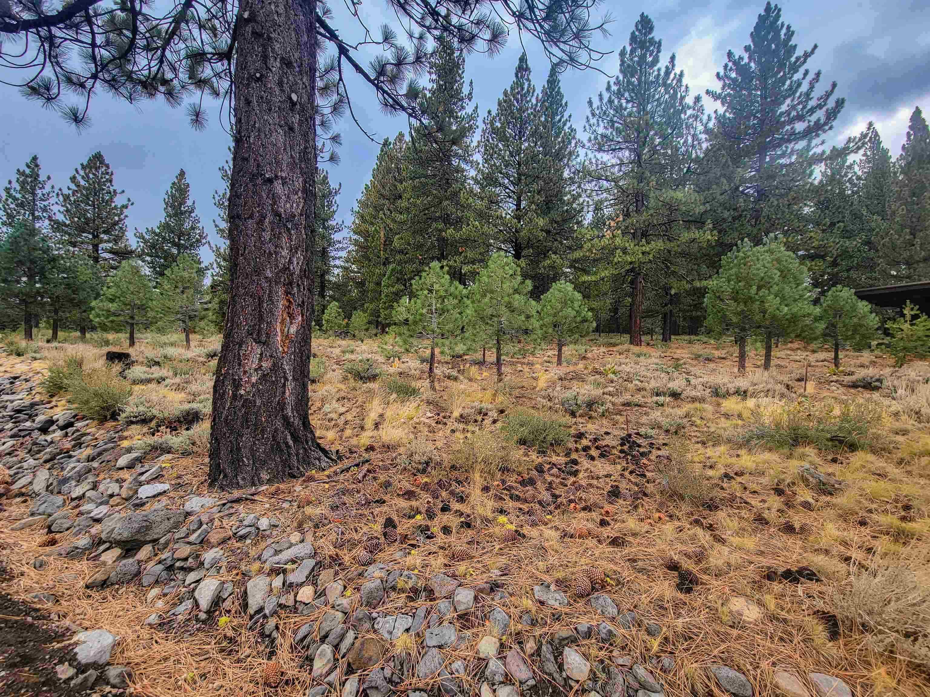 Image for 13131 Snowshoe Thompson, Truckee, CA 96161-0000