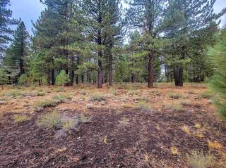 Listing Image 4 for 13131 Snowshoe Thompson, Truckee, CA 96161-0000