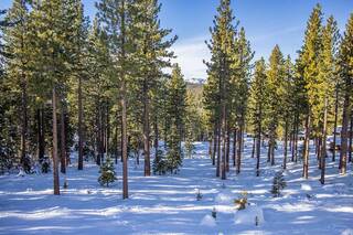 Listing Image 6 for 9501 Cloudcroft Court, Truckee, CA 96161