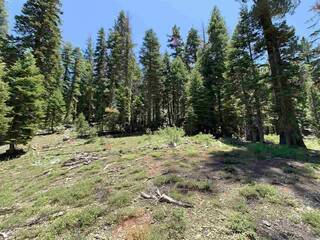 Listing Image 7 for 1445 & 1451 Mineral Springs Trail, Alpine Meadows, CA 94146